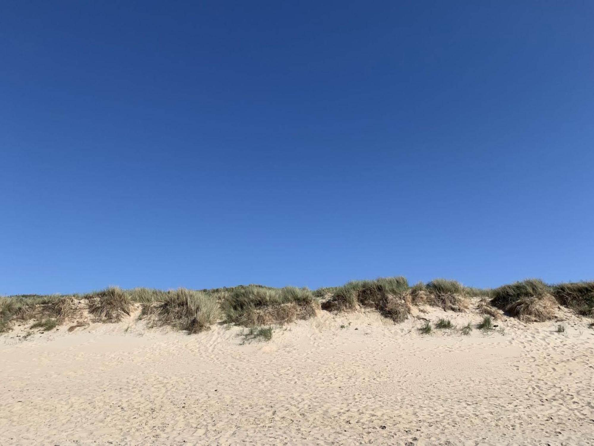 Studio Beach House By Interhome De Haan Esterno foto